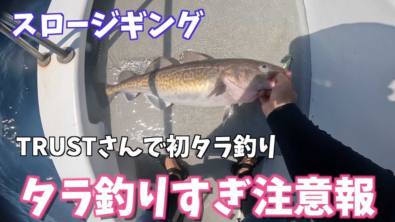 釣りのある暮らし　スロージギング日記＃８７〜初めてのタラ釣り〜