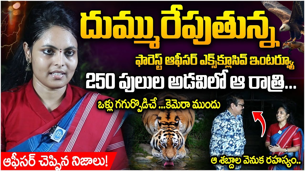 ఆ శబ్దాల వెనుక రహస్యం..| Swetha Boddu, IFS D.F.O. Chandrapur, MH | Interview | iDream