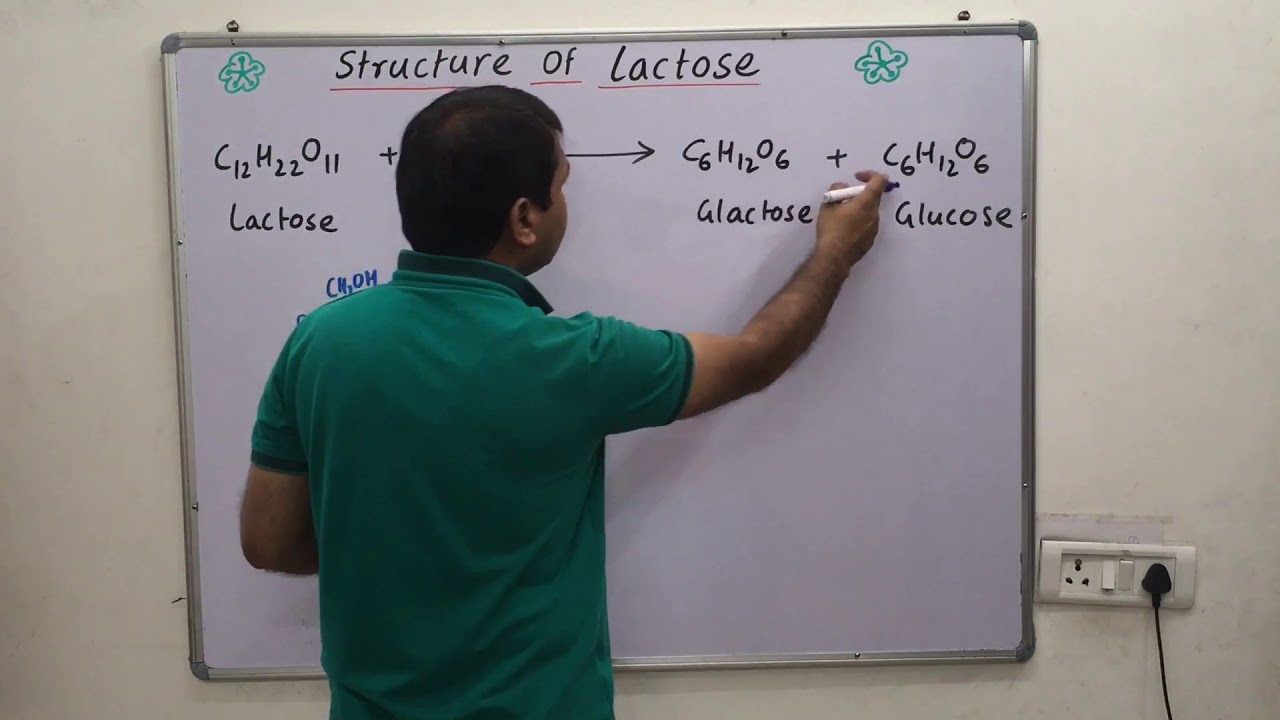 Structure of lactose