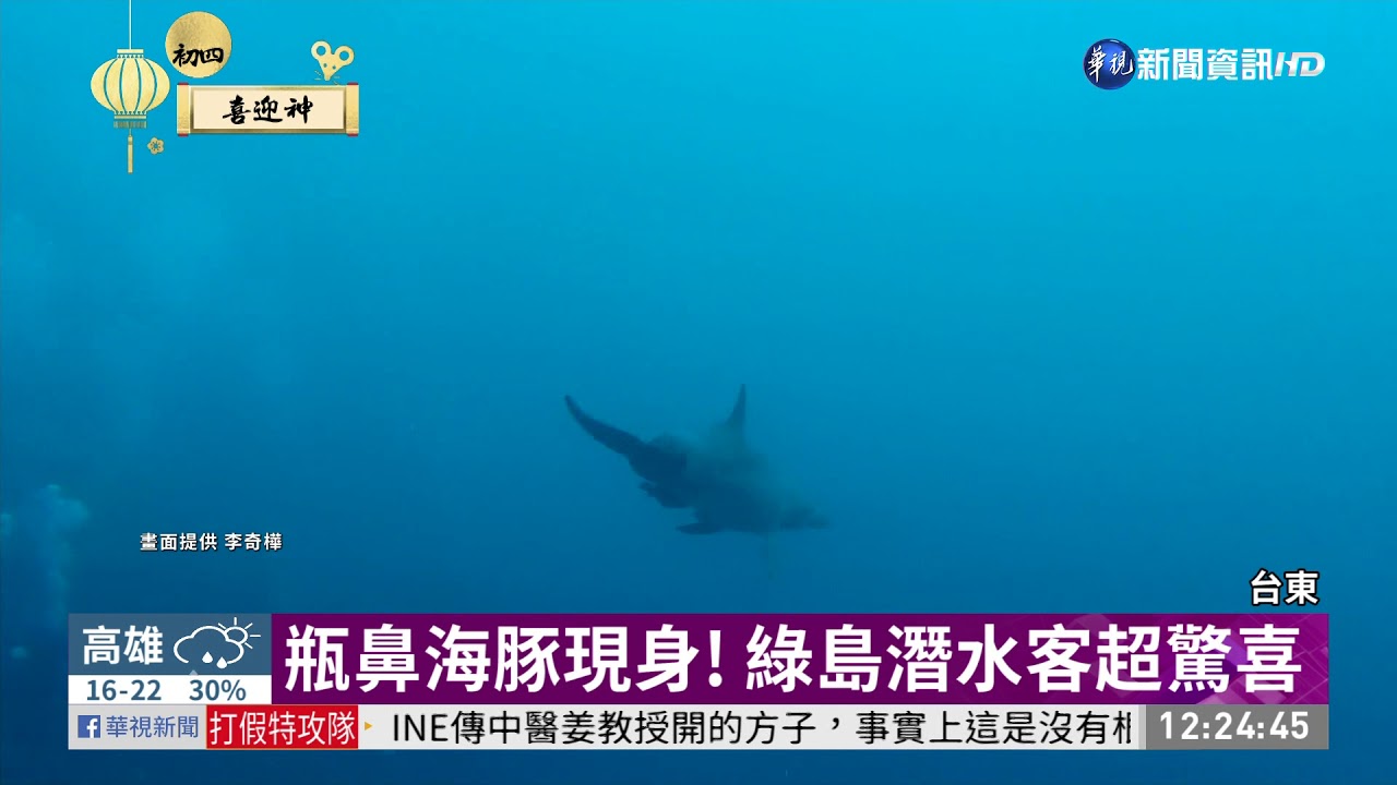 綠蠵龜.牛港鰺.海豚 綠島潛水新三寶 | 華視新聞 20200128
