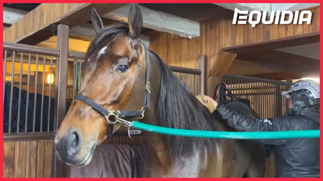 CALGARY GAMES FAIT SON GRAND RETOUR EN COMPÉTITION !