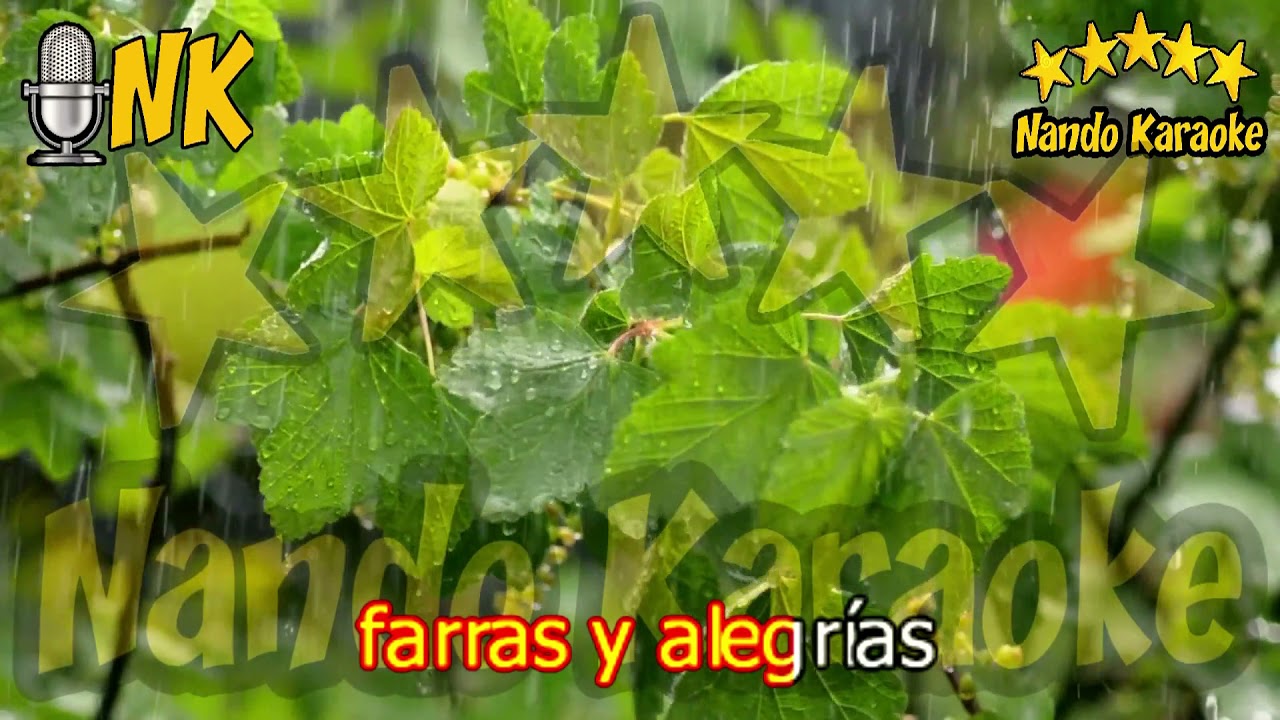 FUE TORMENTA DE VERANO - Los Iracundos Karaoke