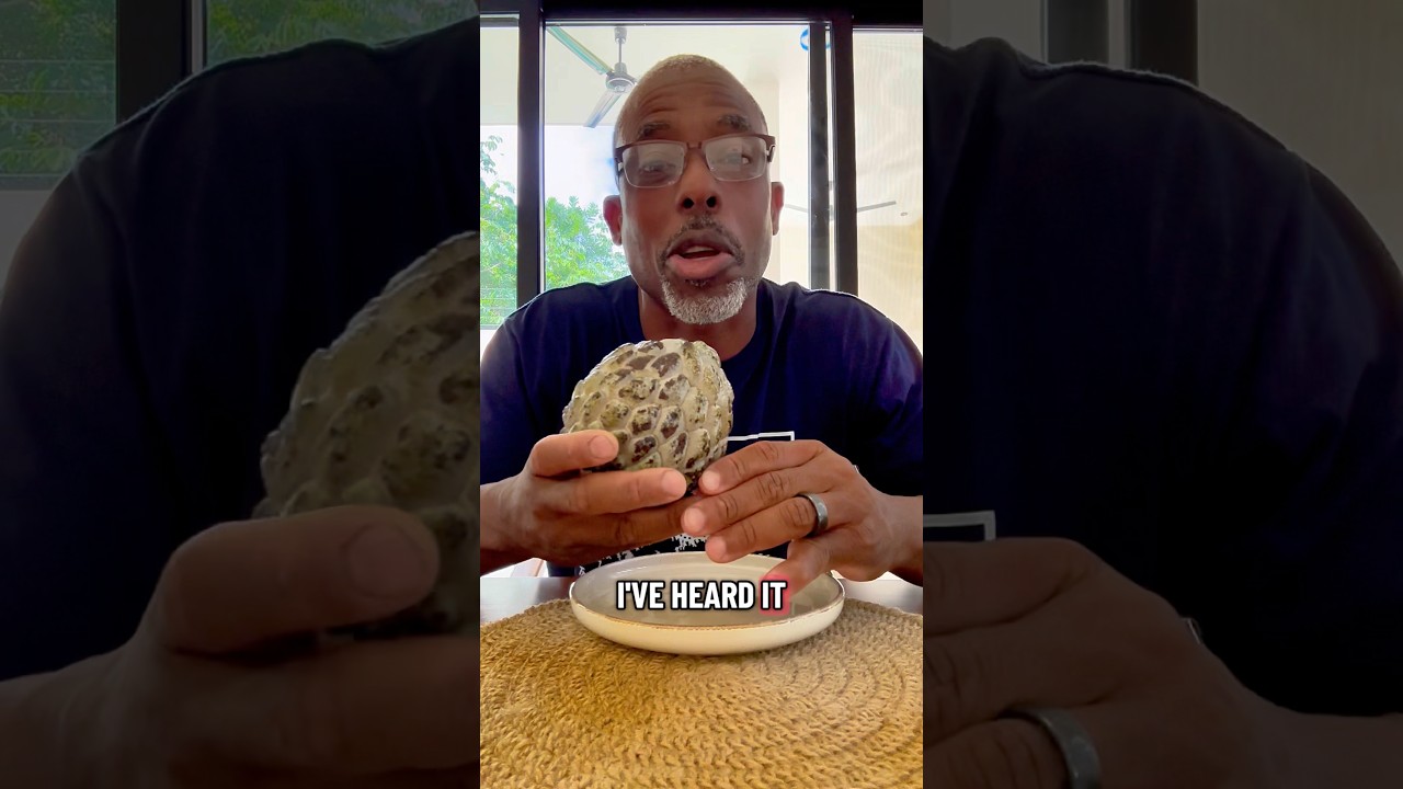 My favorite fruit the sugar apple #sugarapple #sweetsop #anona #cherimoya #andrethefarmer #rarefruit