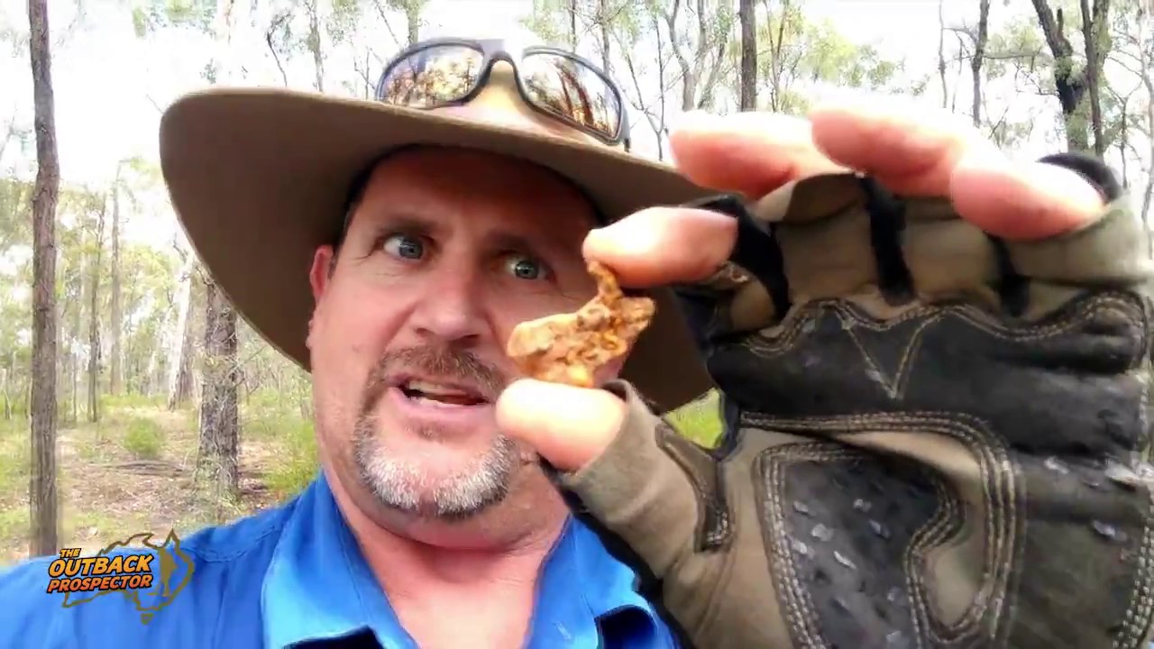 Treasure Talk - GPZ 19 compared to GPZ 14 - Nugget Dig!