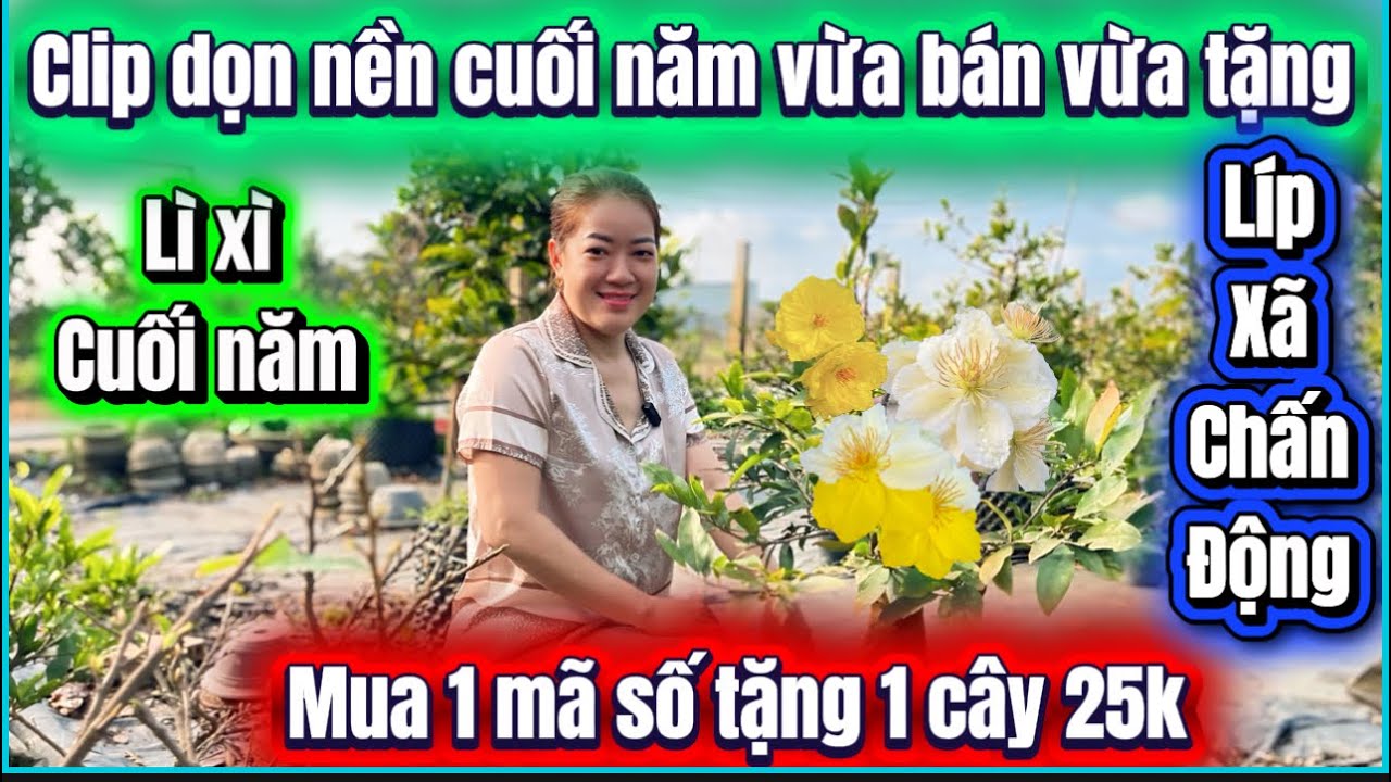 28-1-2026☎️0987353953📲clip xã còn ít gom bán hết dọn nền cây còn đẹp mã số cuối líp 