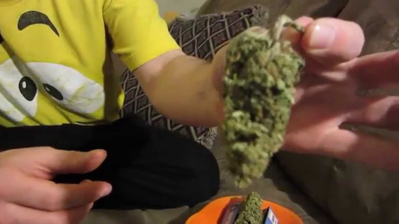 Oiled Eric Chem Dawg #4 (Nug) Medical Marijuana Review