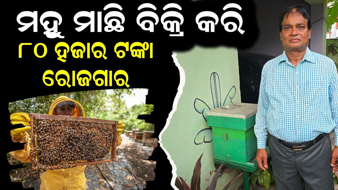 ୮୦ ହଜାର ରୋଜଗାର || ମହୁମାଛି ବିକ୍ରିକରି || Honey Bee Farming Business Ideas. @EfarmingOdisha
