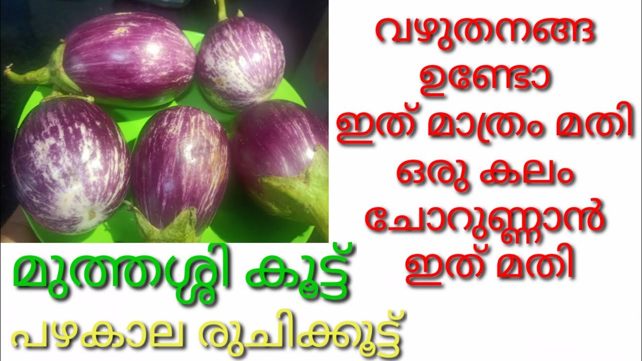 വഴുതനങ്ങ ഇഷ്ടമല്ലാത്തവർ പോലും ഇഷ്ടത്തോടെ കഴിക്കും | Kerala Style Vazhuthananga | Brinjal Fry