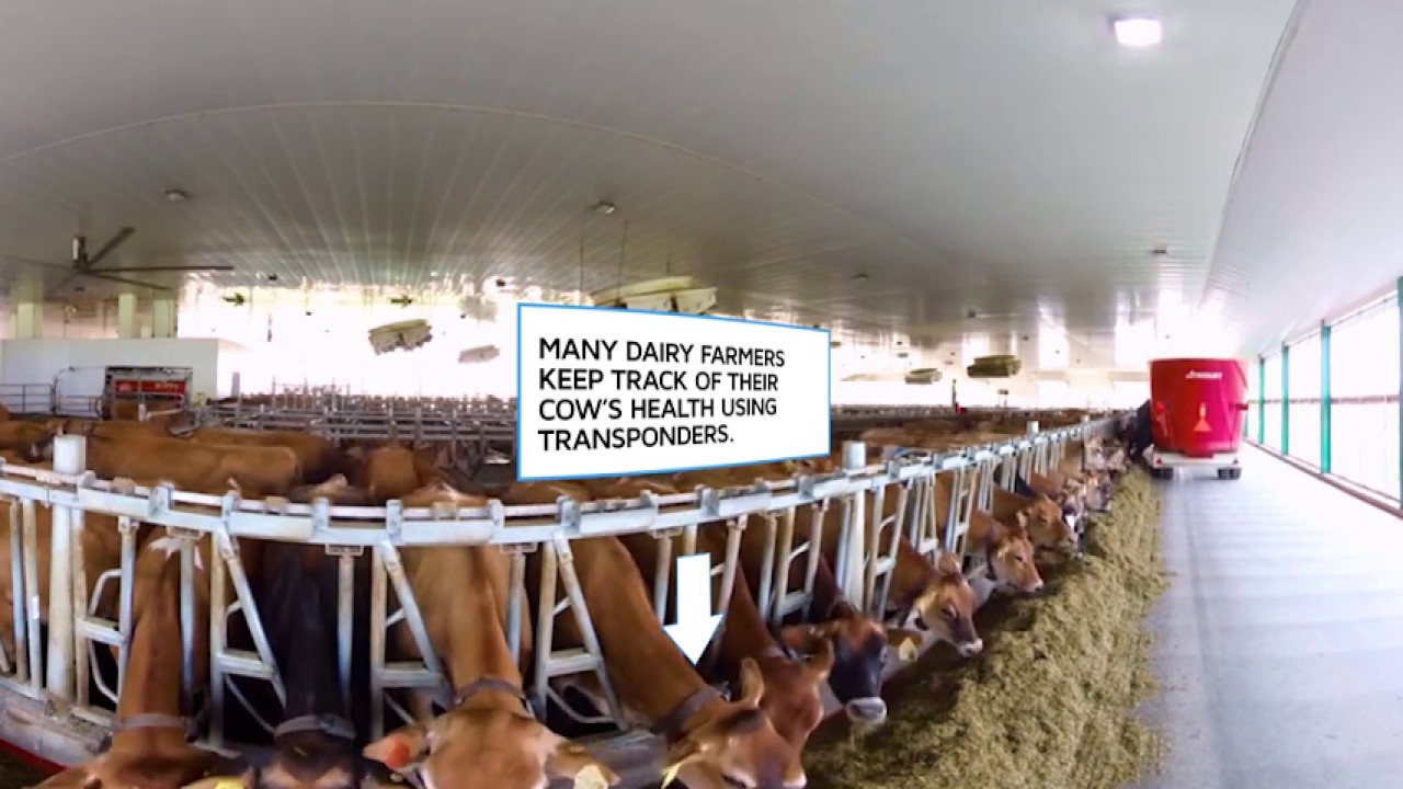 360 Degree Virtual Farm Tour: Sustainable Practices on New England Dairy Farms