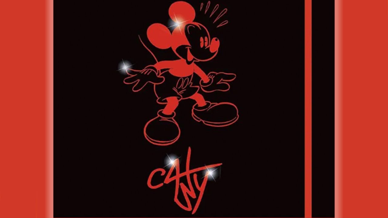 il Taccuino di Casty