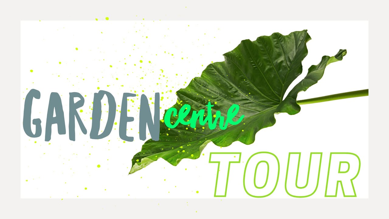 My Local Garden Centre Tour