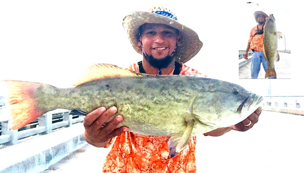 How to catch big Gag Grouper at the Skyway Fishing Pier