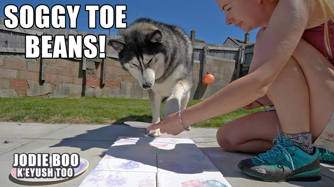 Attempting to Paint Canvases With My Husky! It Gets Messy!
