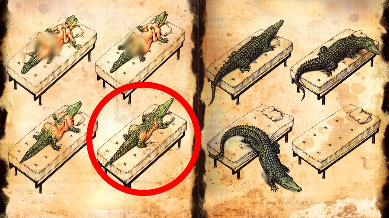 I 10 libri pi&ugrave; MISTERIOSI del mondo!