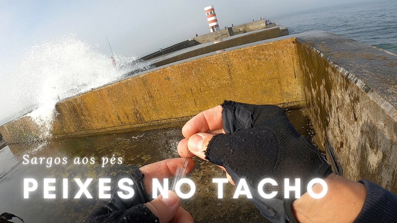 Pesca aos Sargos no Cais Novo da Foz do Douro 🎣 | 2 Capturas e um Peixe que Fugiu!