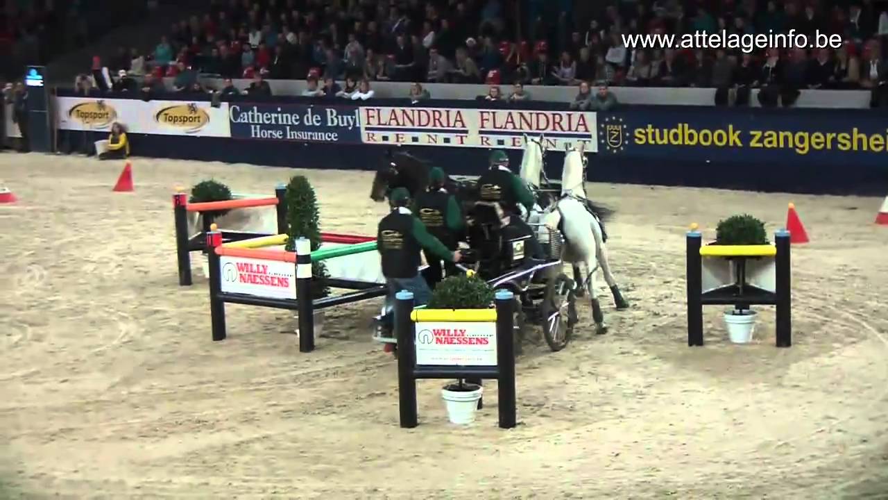 Malines 2010 - Warm-up - Jozsef DOBROVITZ