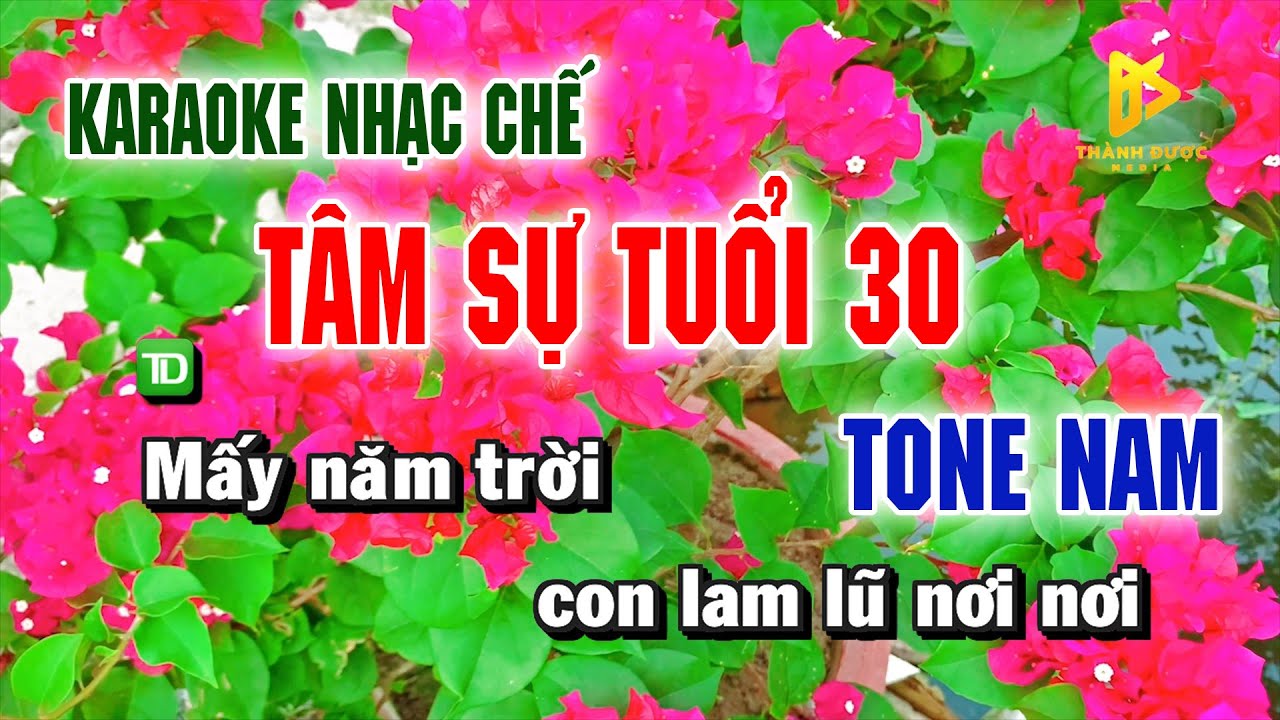 Karaoke TÂM SỰ TUỔI 30 - Nhạc Chế Vũ Hải TONE NAM