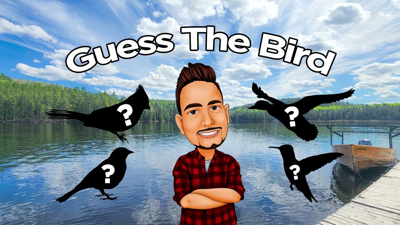 Guess The Bird! Bird Quiz of Ontario Birds - Ep. 01 Easy