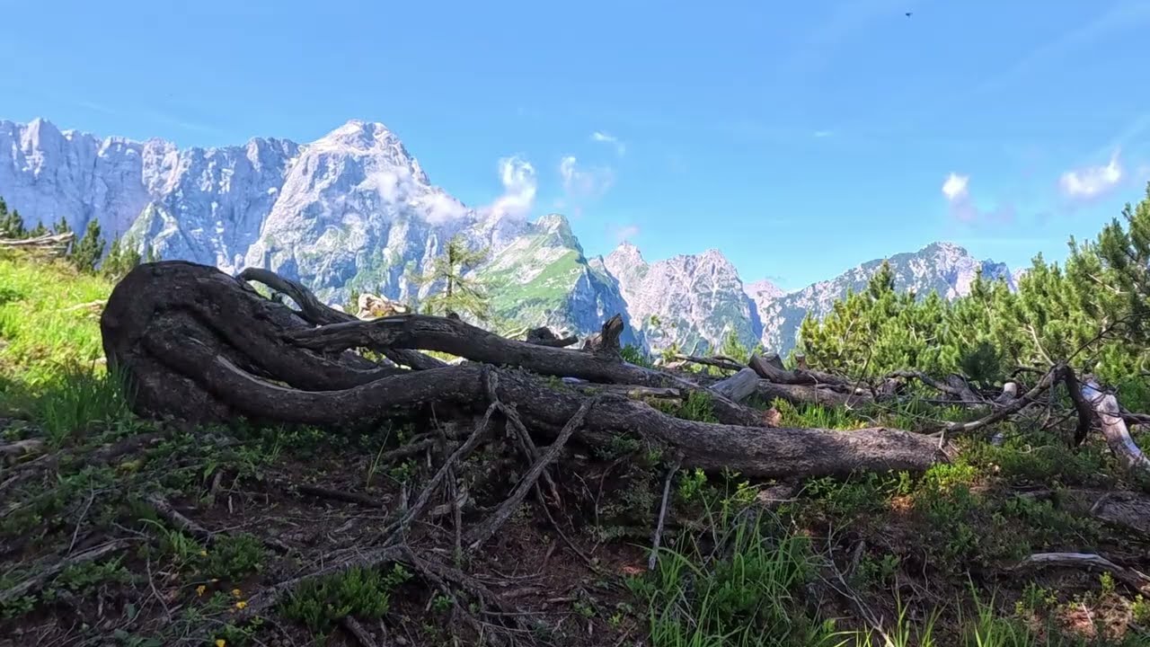 20240705   Sentiero CAI 512 Rifugio Zacchi e Laghi di Fusine