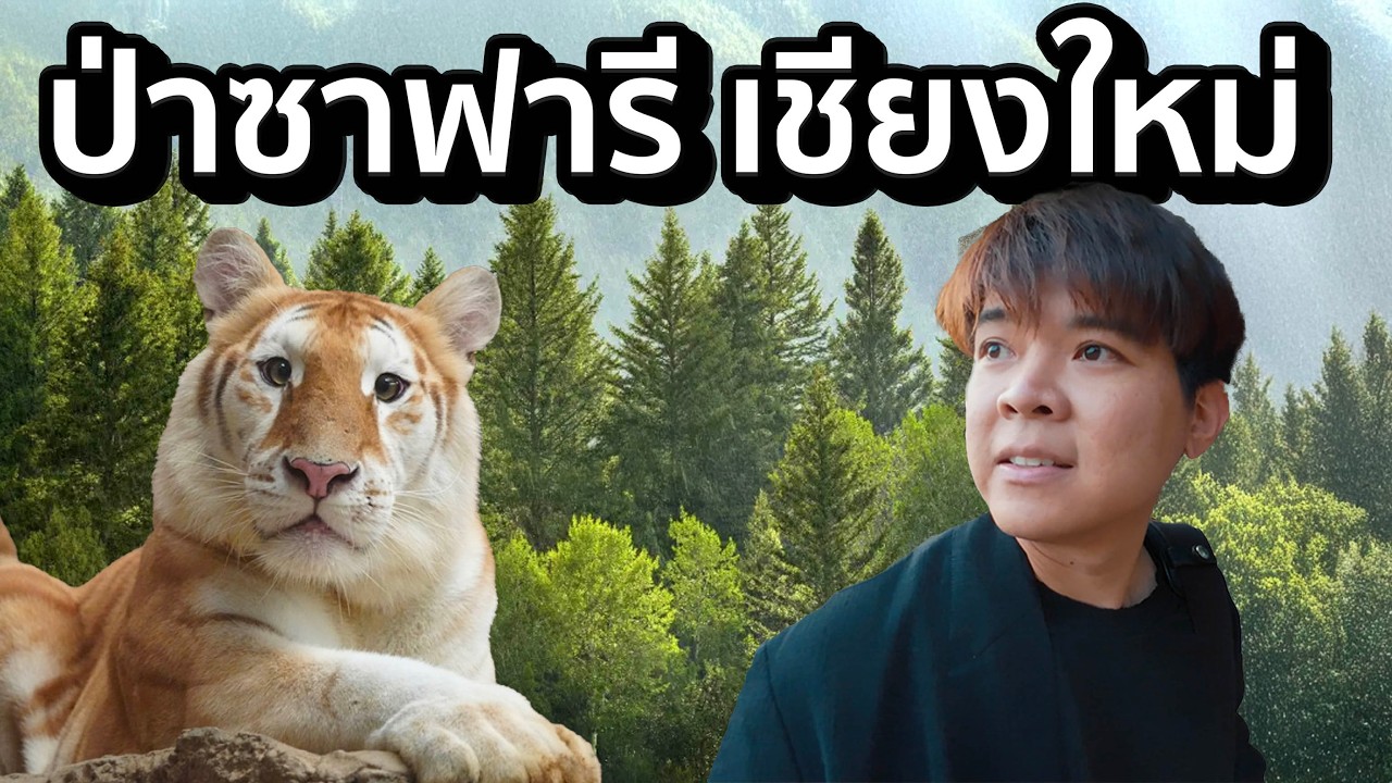 50 บาท เที่ยวได้ | ป่าที่ใกล้เชียงใหม่ ที่สุด