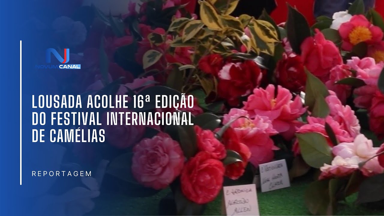 Lousada acolhe 16.ª edição do Festival Internacional de Camélias