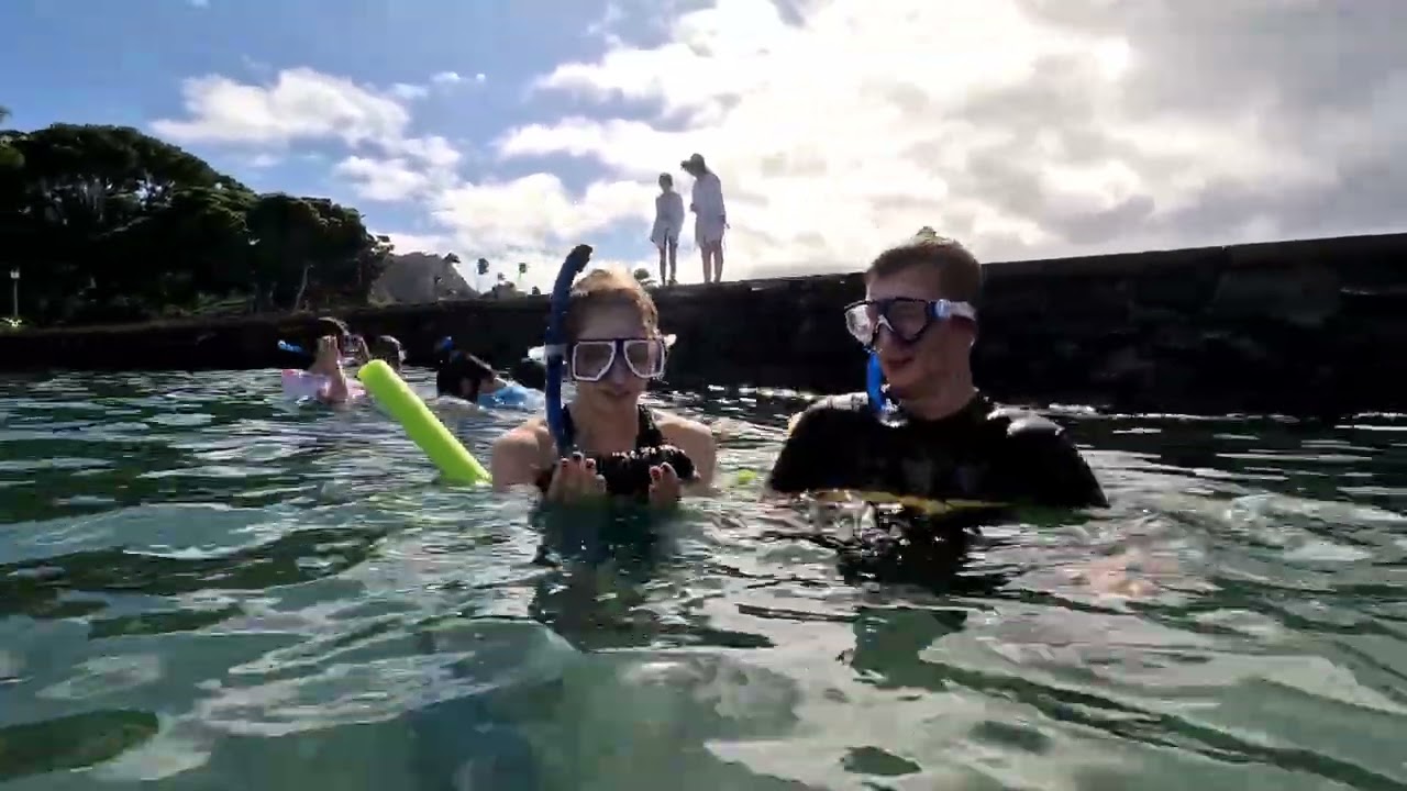 Waikiki Snorkeling Class discovertourhawaiillc.com