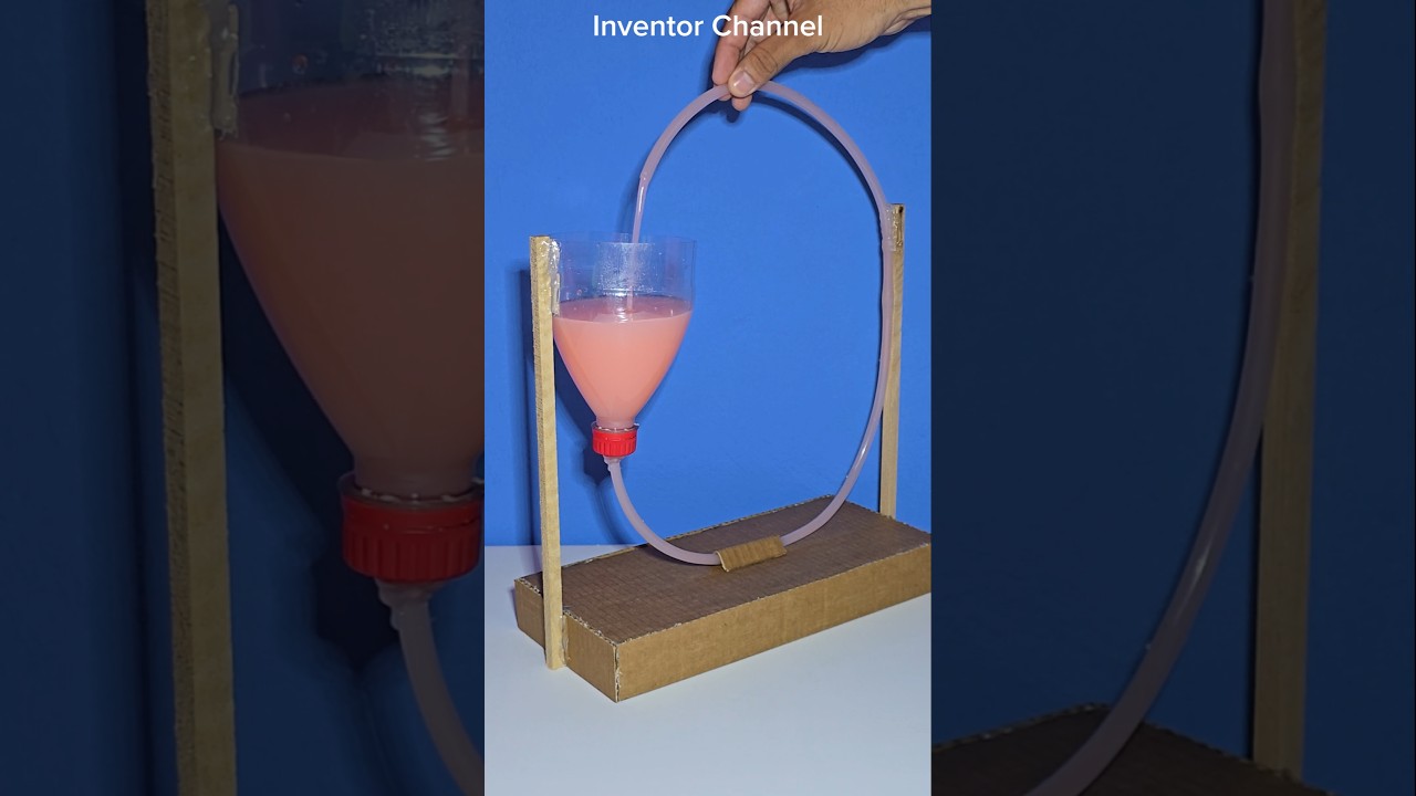 Science project for class 8th students working model easy science exhibition projects class