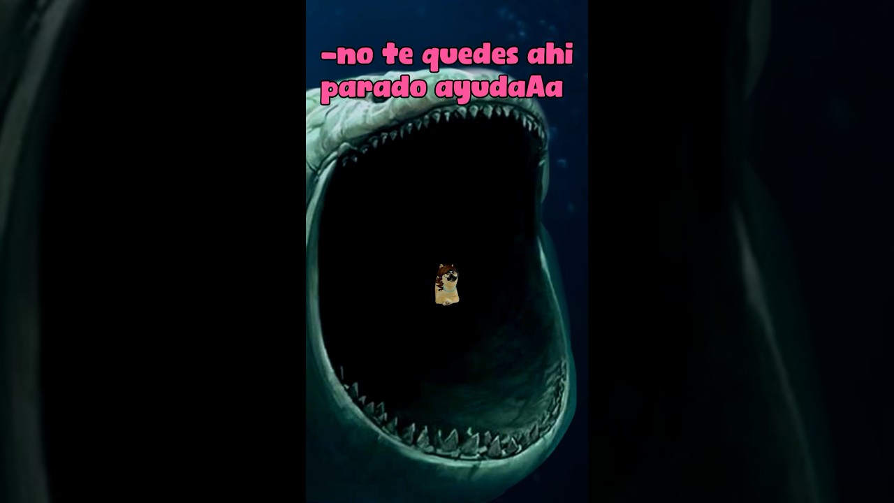 EL BLOOP SE LA COMIÓ, NO ENTRES AL MAR💀 