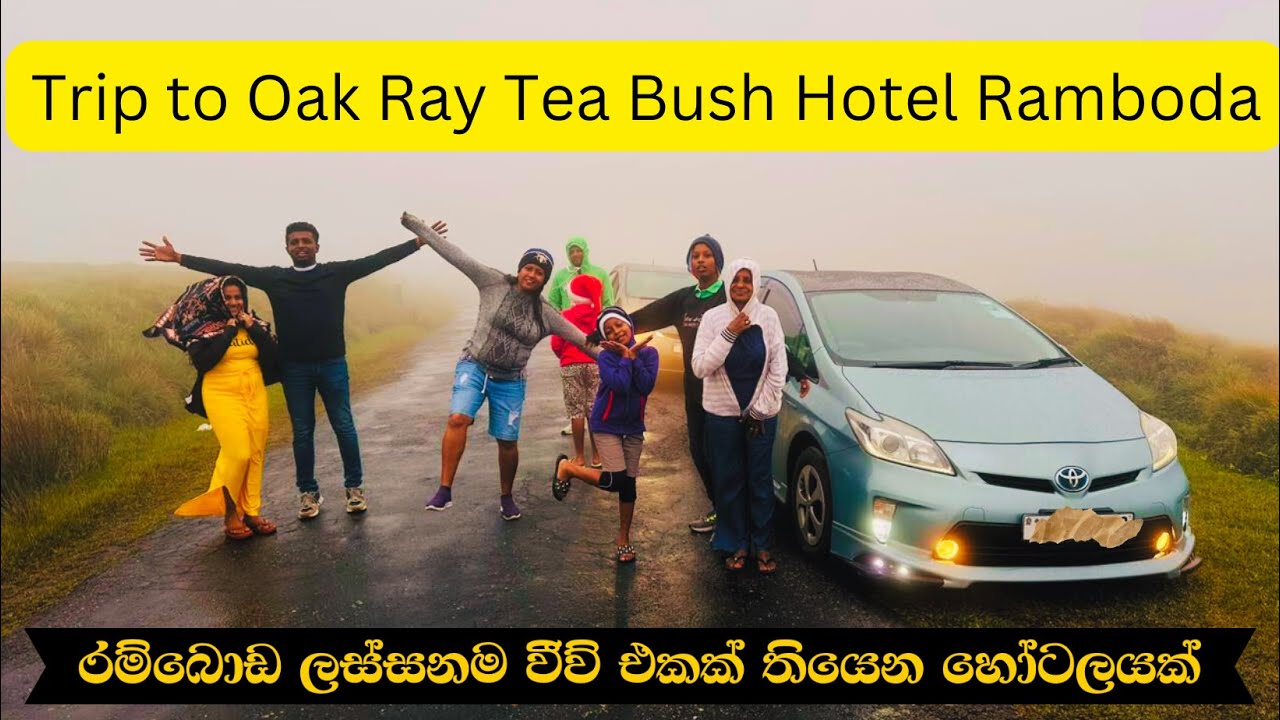 පූනා ඇල්ල දිහා බලාගෙන ගිමන් හරිමු - Oak Ray Tea Bush Hotel Ramboda#srilanka#srilankatravelvlog