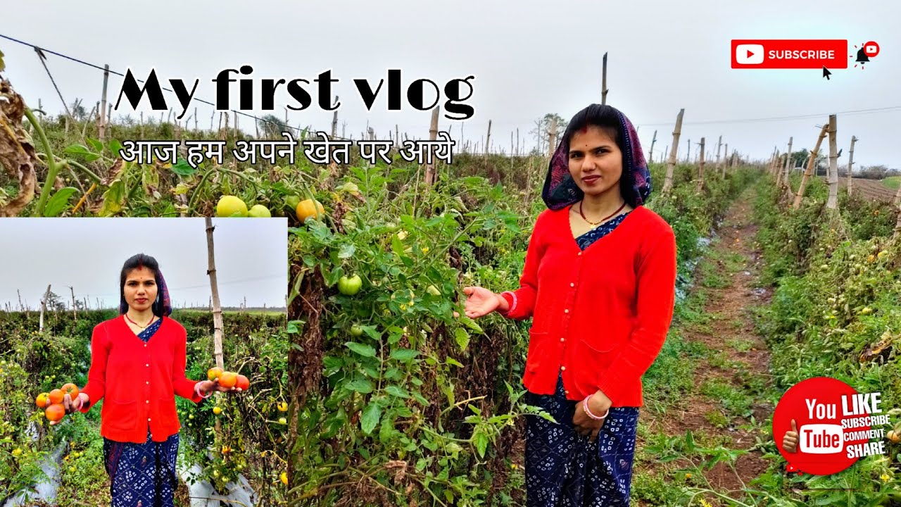 My first vlog in my farm🌾🍅 #vlog #trending #farming #dailyvlog #routinevlog #travel #update 