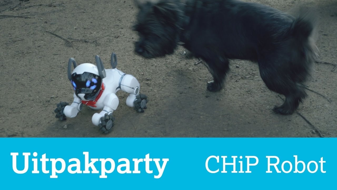 Uitpakparty: robothond CHiP is verdraaid slim voor een stuk speelgoed
