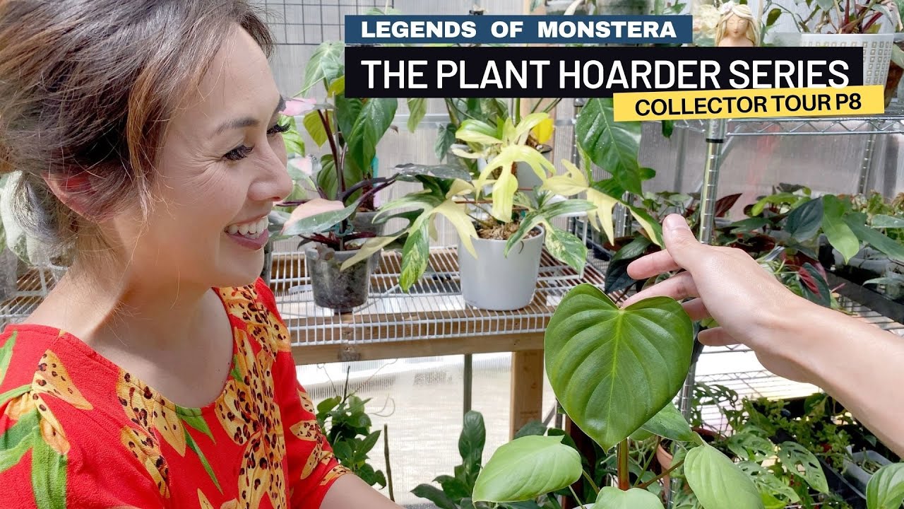 [Tour Finale] P8. Plants She Would Take in a Fire | Indoor Houseplants | Plant Hoarder Series