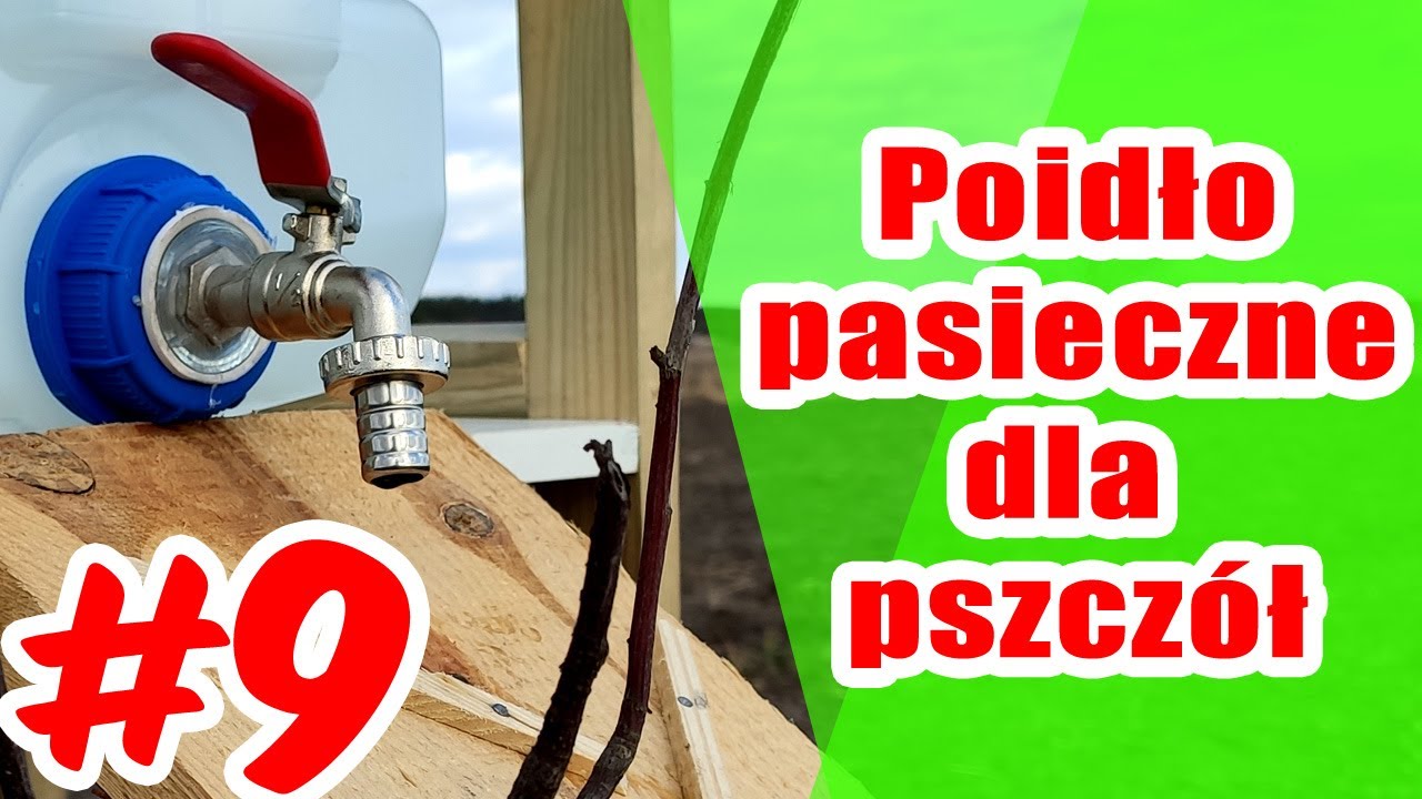 #9 Proste poidło pasieczne dla pszczół.Woda dla pszczół. #pszczoły #wiosna #pasieka