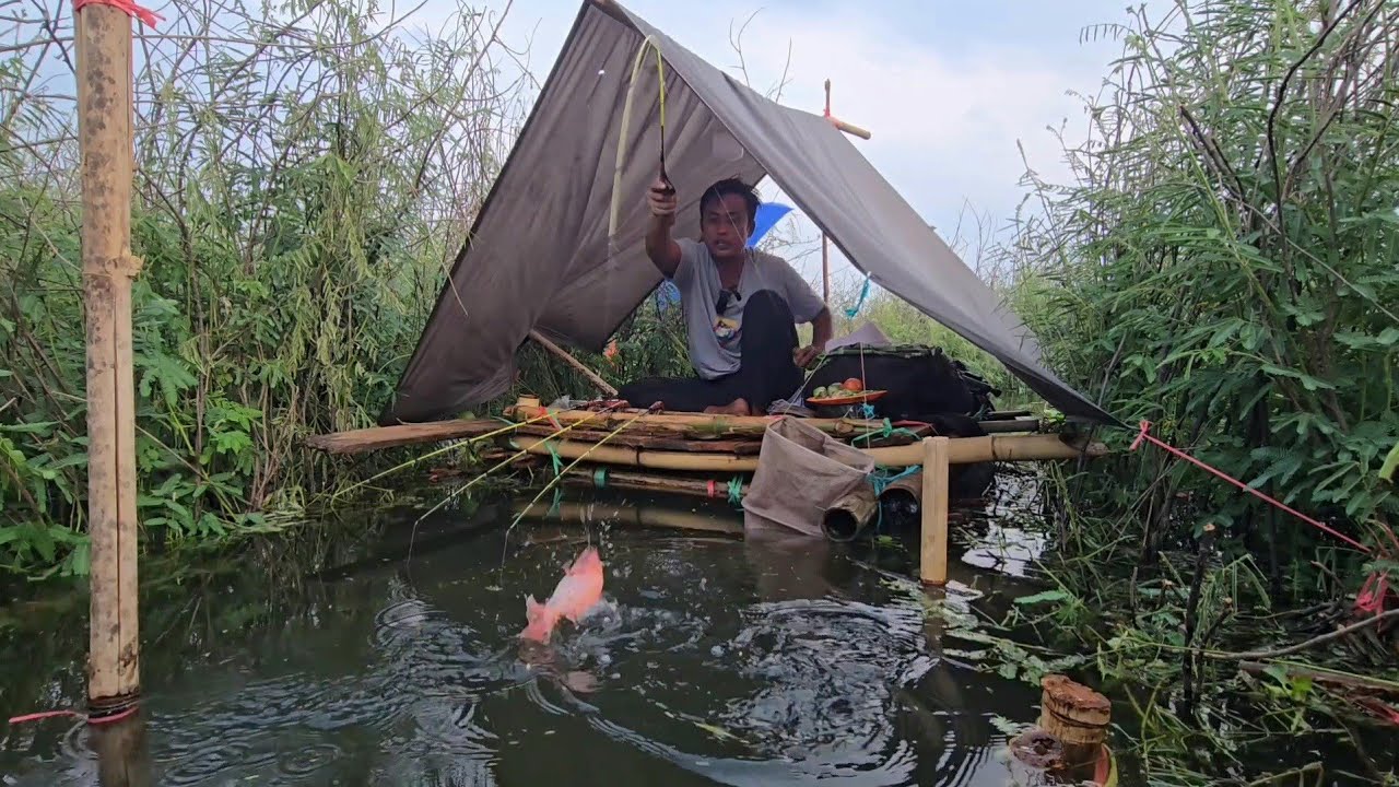 CAMP FISHING Ep.436 Sangat Kewalahan Sekeliling Nya Pohon Gut get Semua