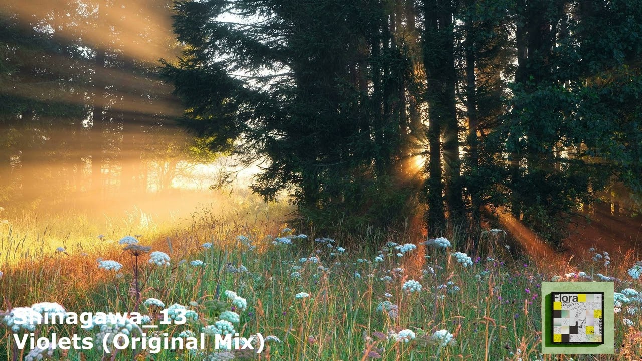 Shinagawa_13 - Violets (Original Mix)[LREM001]