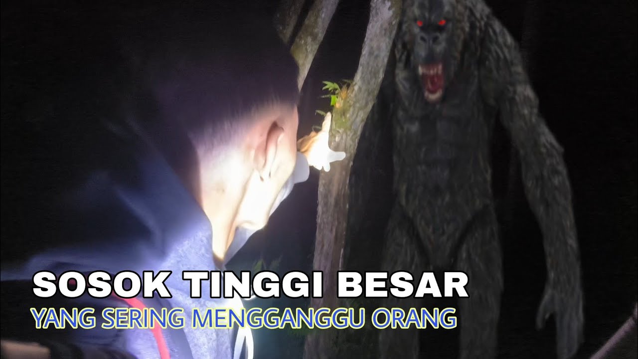 Mitos Ada Penampakan Tinggi Besar!! Dan Sering Menampakkan Diri Dalam Hutan