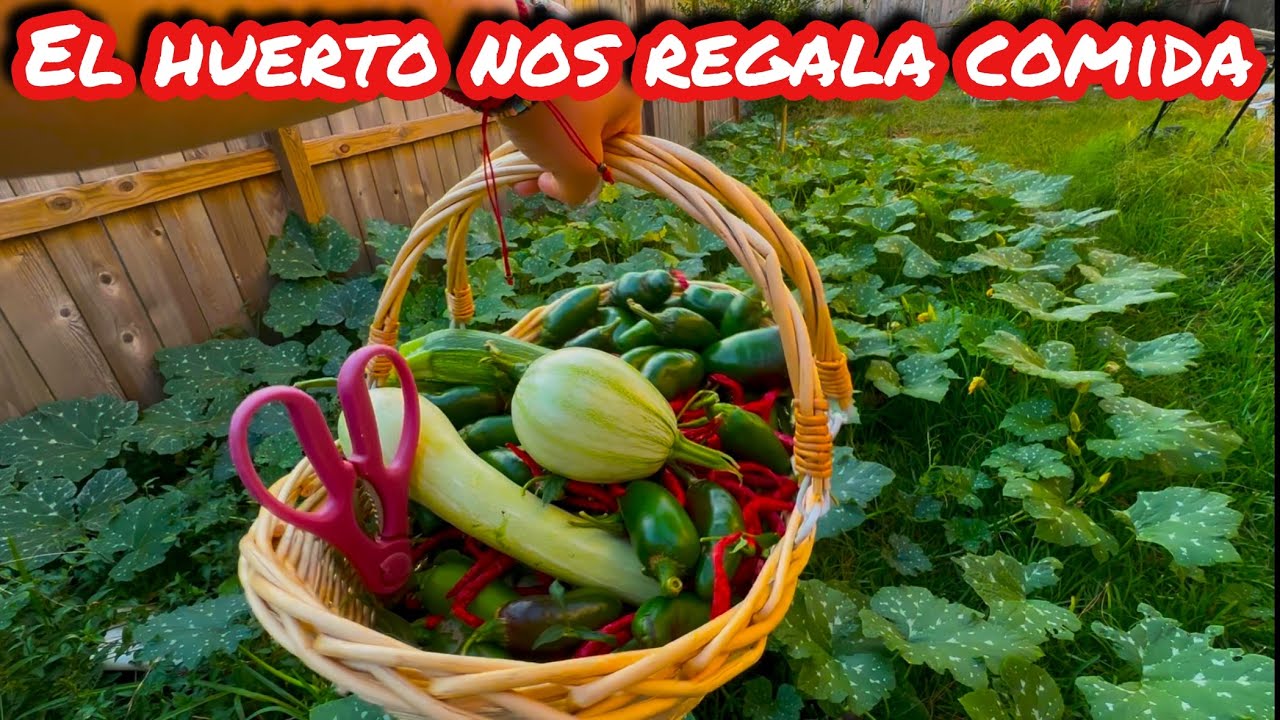 El Huerto sigue dando Alimento- paseo y cosecha 