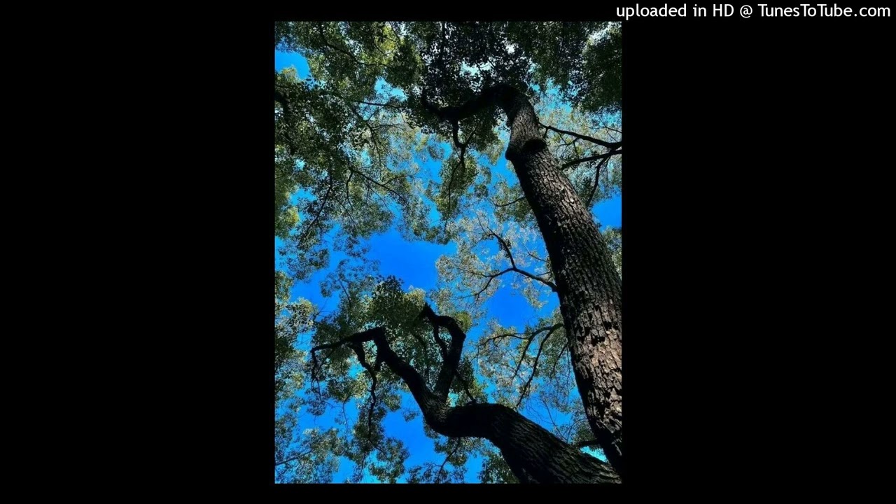[Free] Iayze Type Beat 