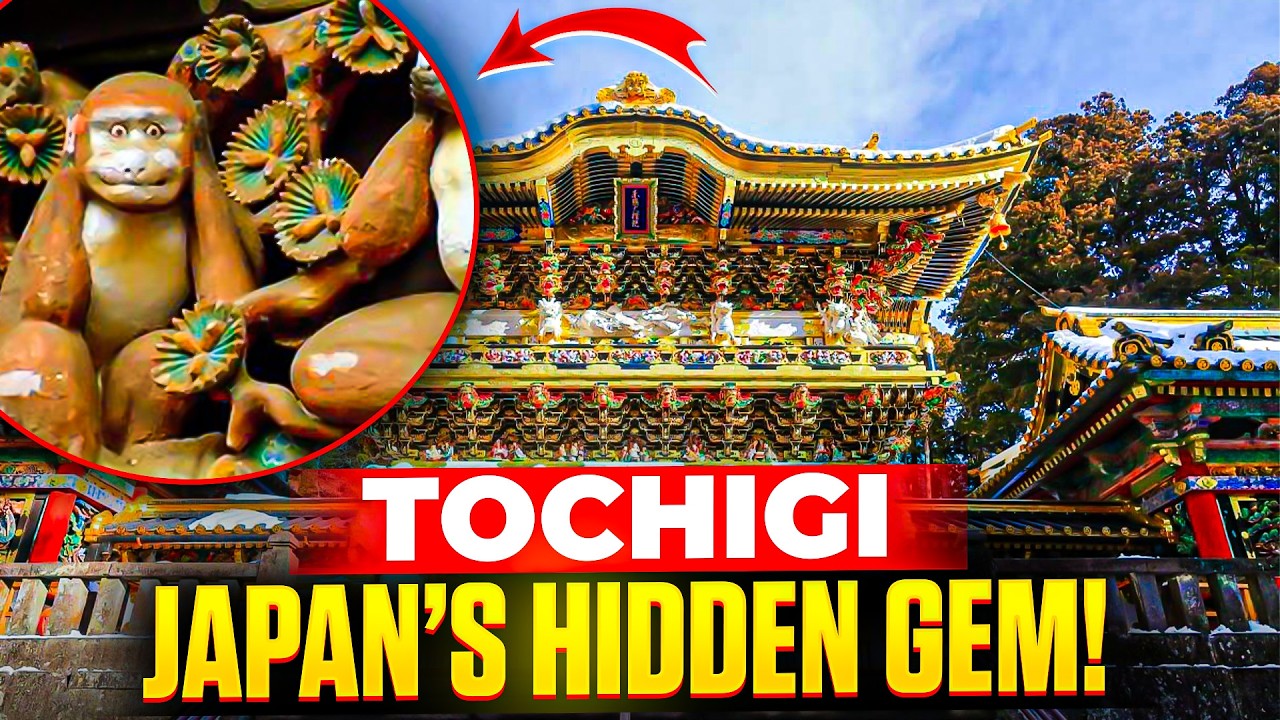 Nikko, Gyoza & Hidden Treasures: Why Tochigi Should Be on Your Japan Bucket List!