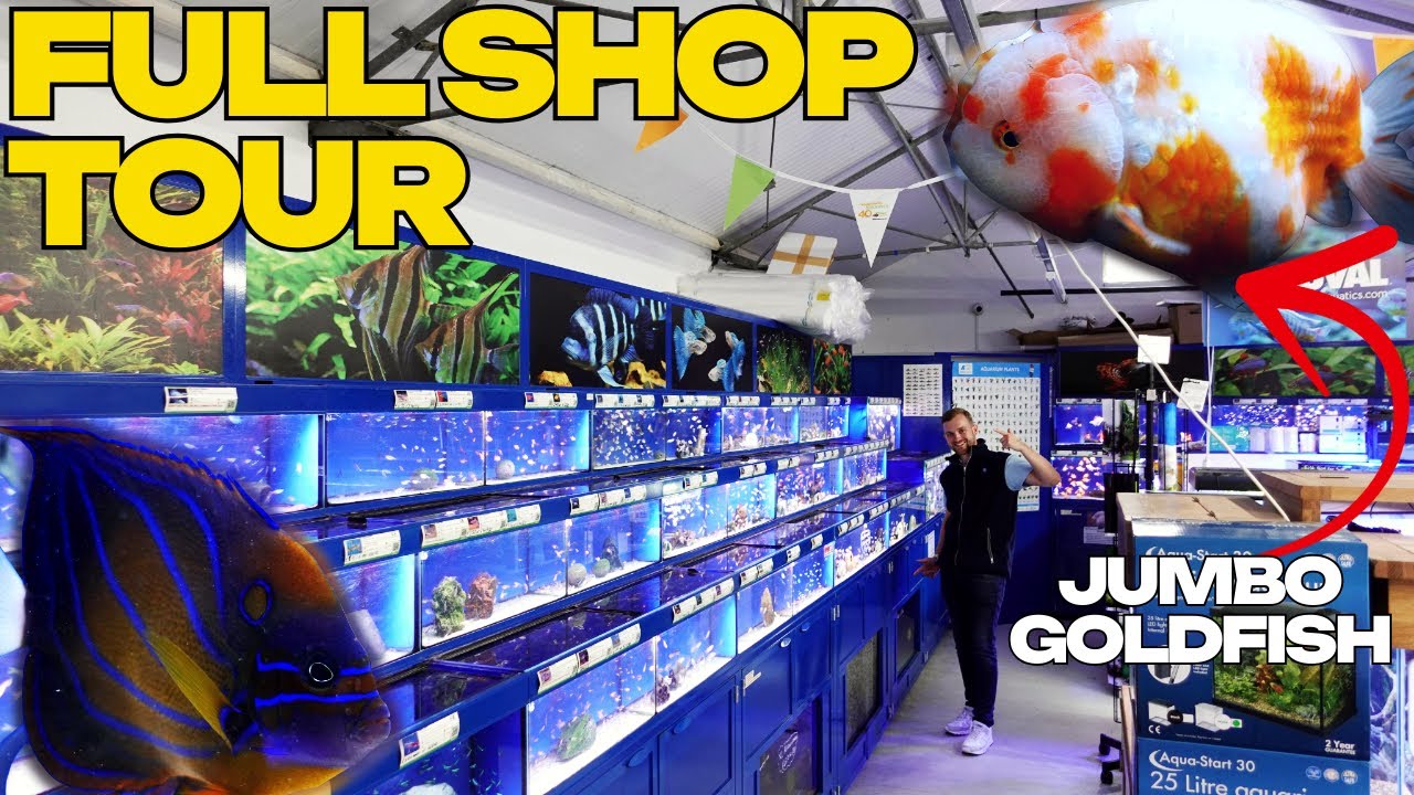MAIDENHEAD AQUATICS MAIDSTONE | TROPICAL, COLDWATER & MARINE