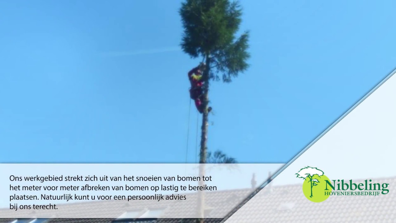 Nibbeling Hoveniers