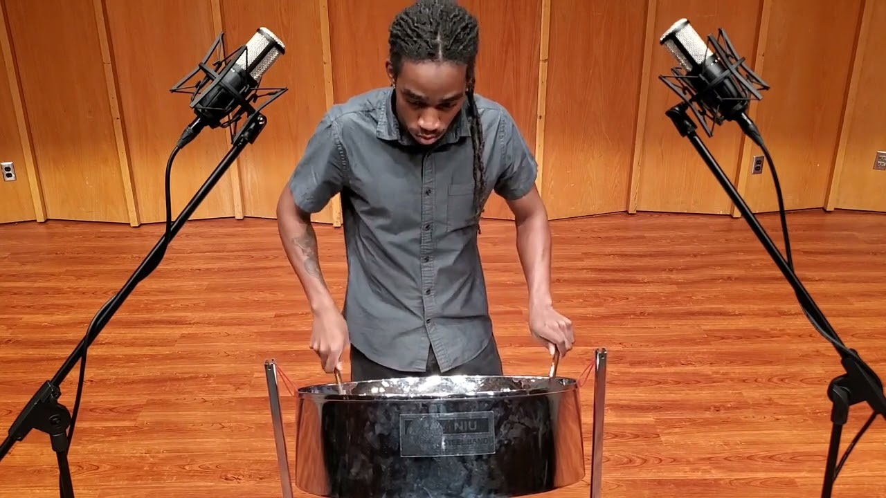 Life's Essence (Solo Steel pan) Sam Riddick
