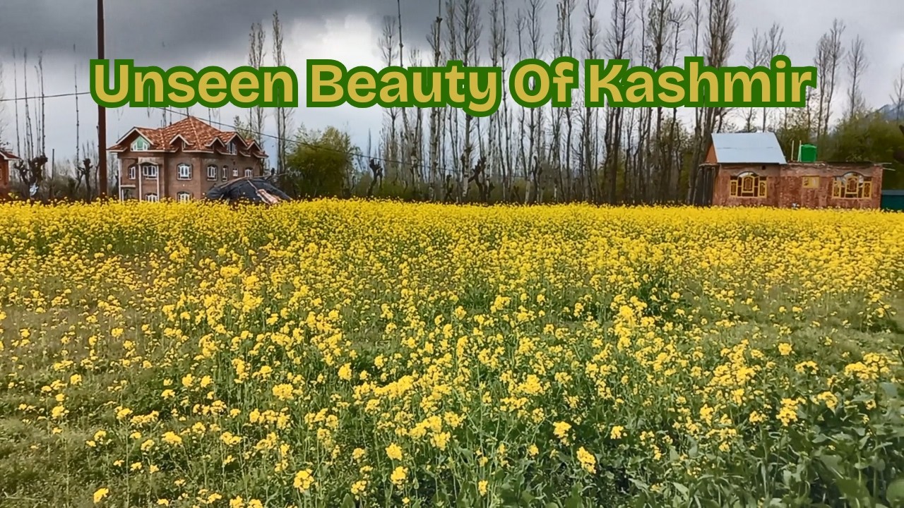 Unseen Kashmir – Hidden Paradise Places You’ve Never Seen #travel #kashmir #naturelovers