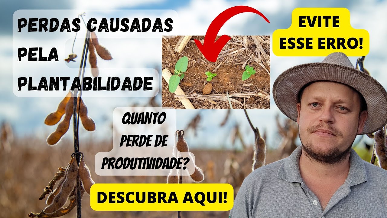 PLANTABILIDADE NA SOJA | Veja a perda causada devido a desuniformidade na profundidade de semeadura