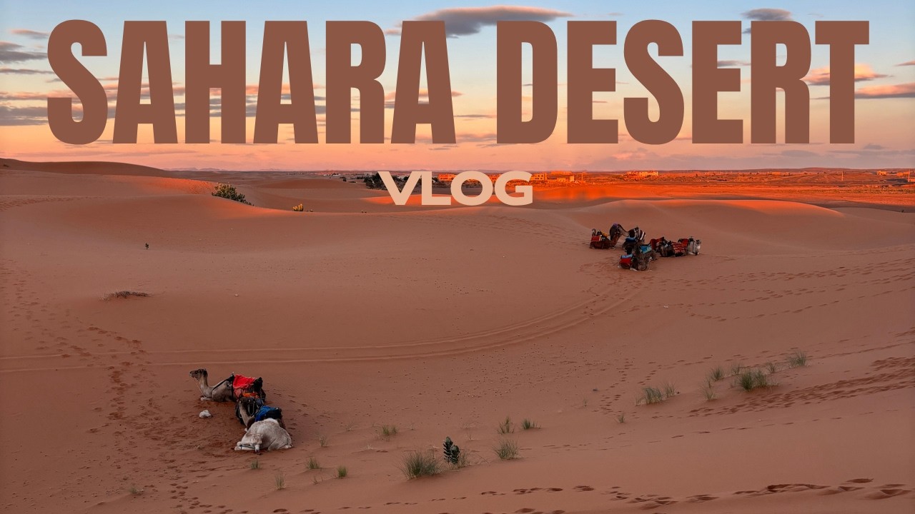 SAHARA DESERT VLOG 🐪🌅🏜️