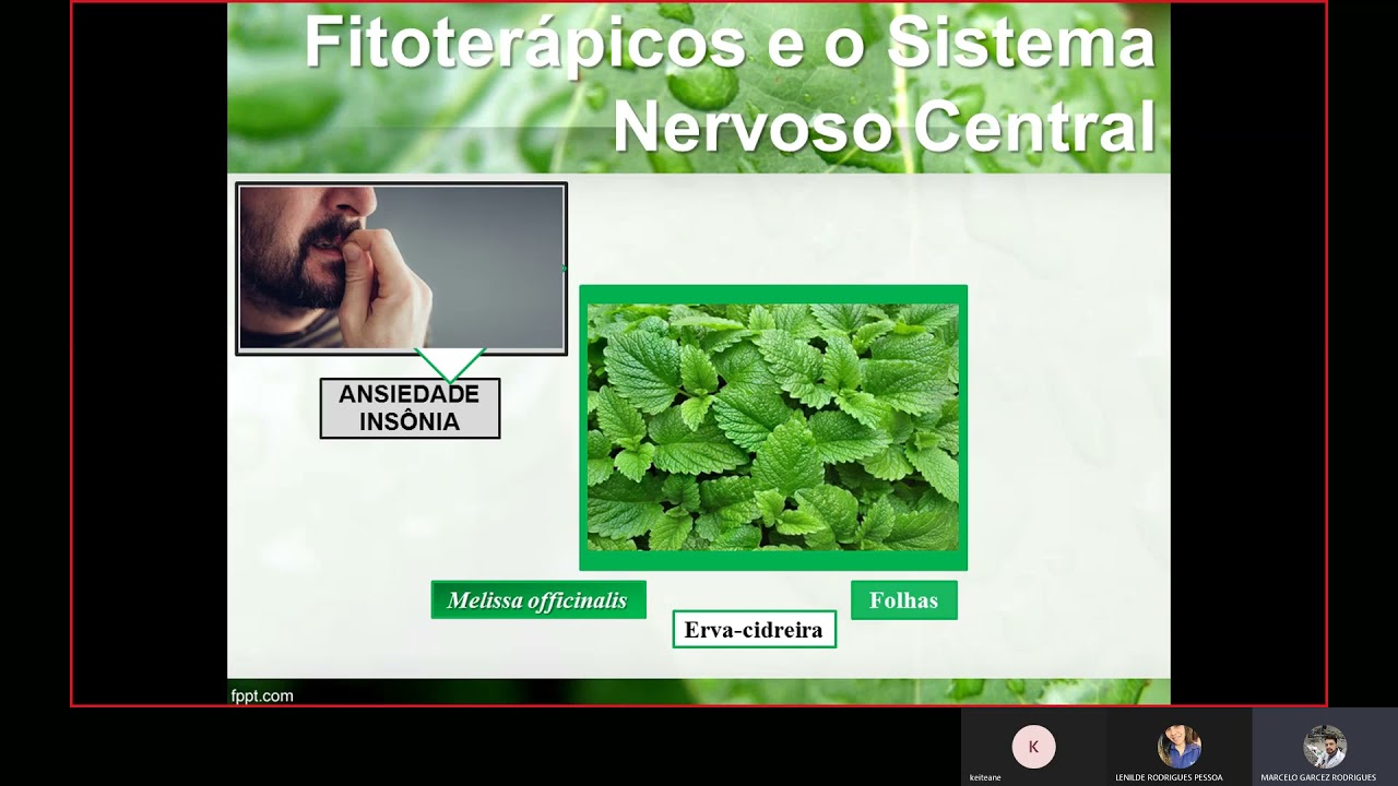Fitoterápicos e os Sistemas Nervoso Central, Cardiovascular, Respiratório e Digestório.