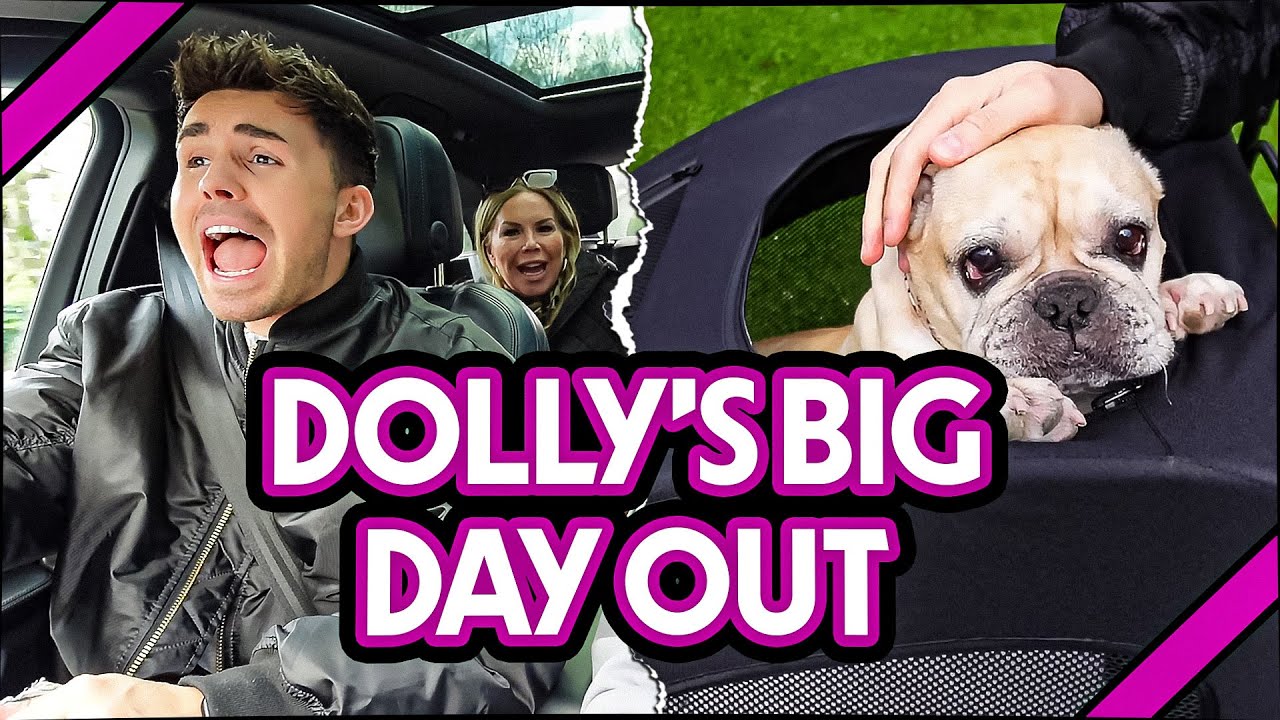 JOE'S CHAOTIC DRIVING & DOLLY'S BIG DAY OUT | BAGGS FAMILY VLOG