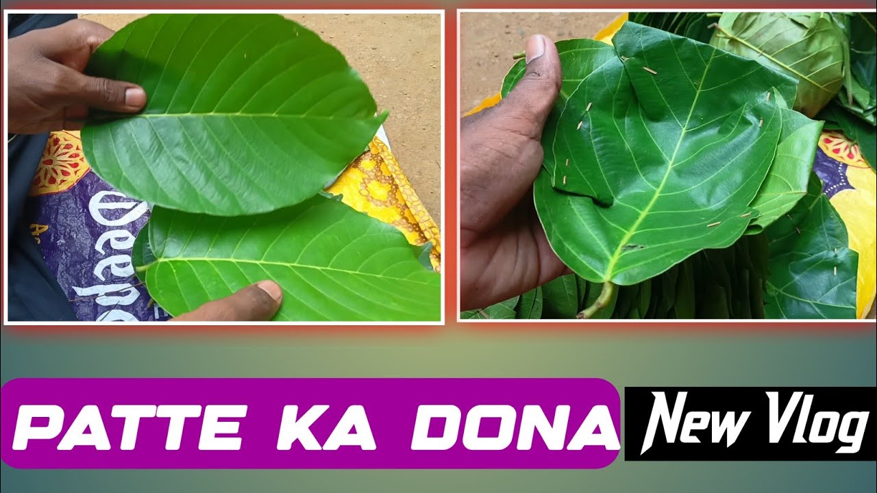 Patte ka dona kaise Banta hai new vlog|| dona making with hand