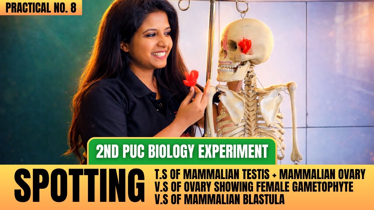 FULL Demo: Sectional View Of Ovary, Testis & Blastula Spotting 🌼🔬 | 2nd PUC Biology Practicals (E8)