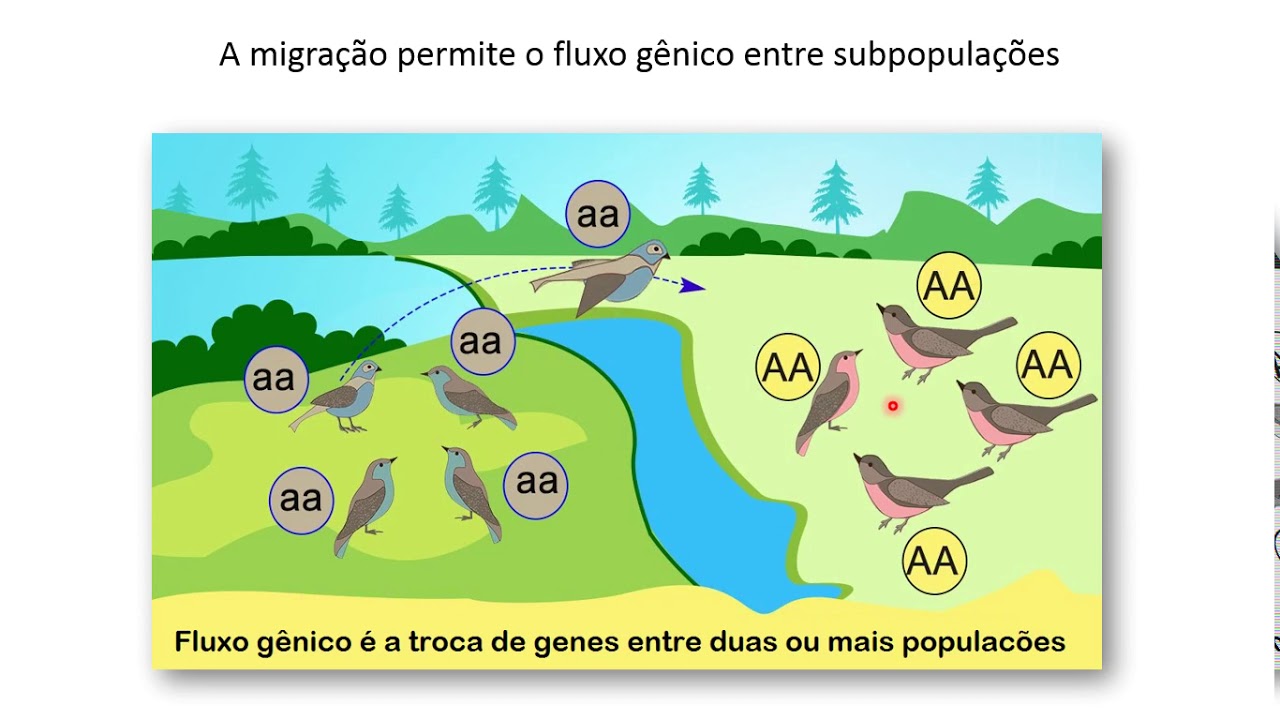 Aula 5 -  Metapopulações e biogeografia de ilhas
